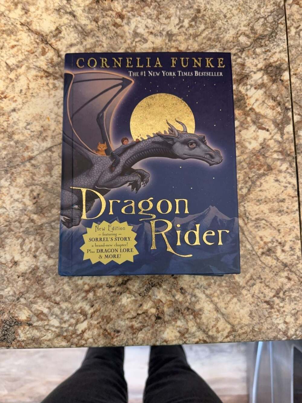 Dragon Rider by Cornelia Funke Hardcover Book